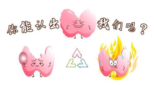 什么是甲状腺结节?医大二院甲状腺科专家排名