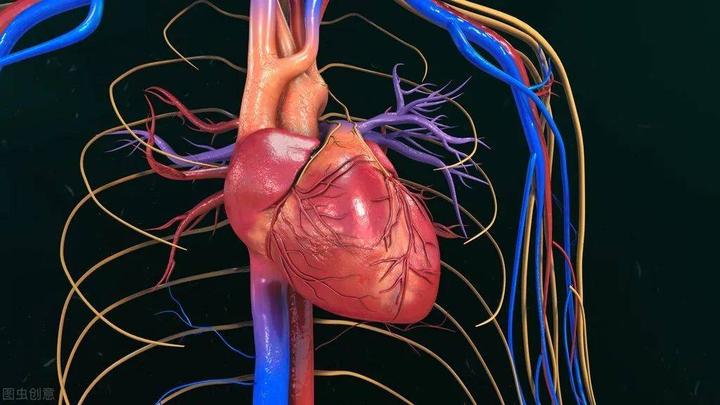 心血管疾病做什么检查？哈尔滨心脏病哪个医院看的好