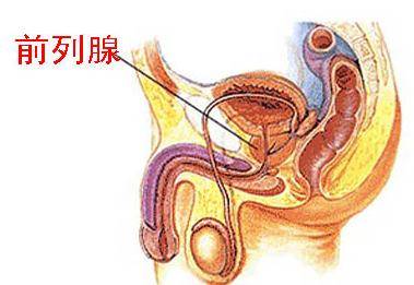 哈尔滨治前列腺的医院哪好