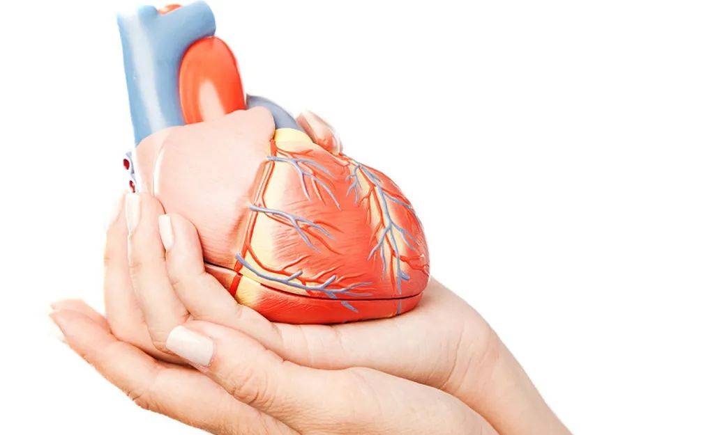 心肌酶高是什么原因造成的?哈尔滨心脏病专家医院地址