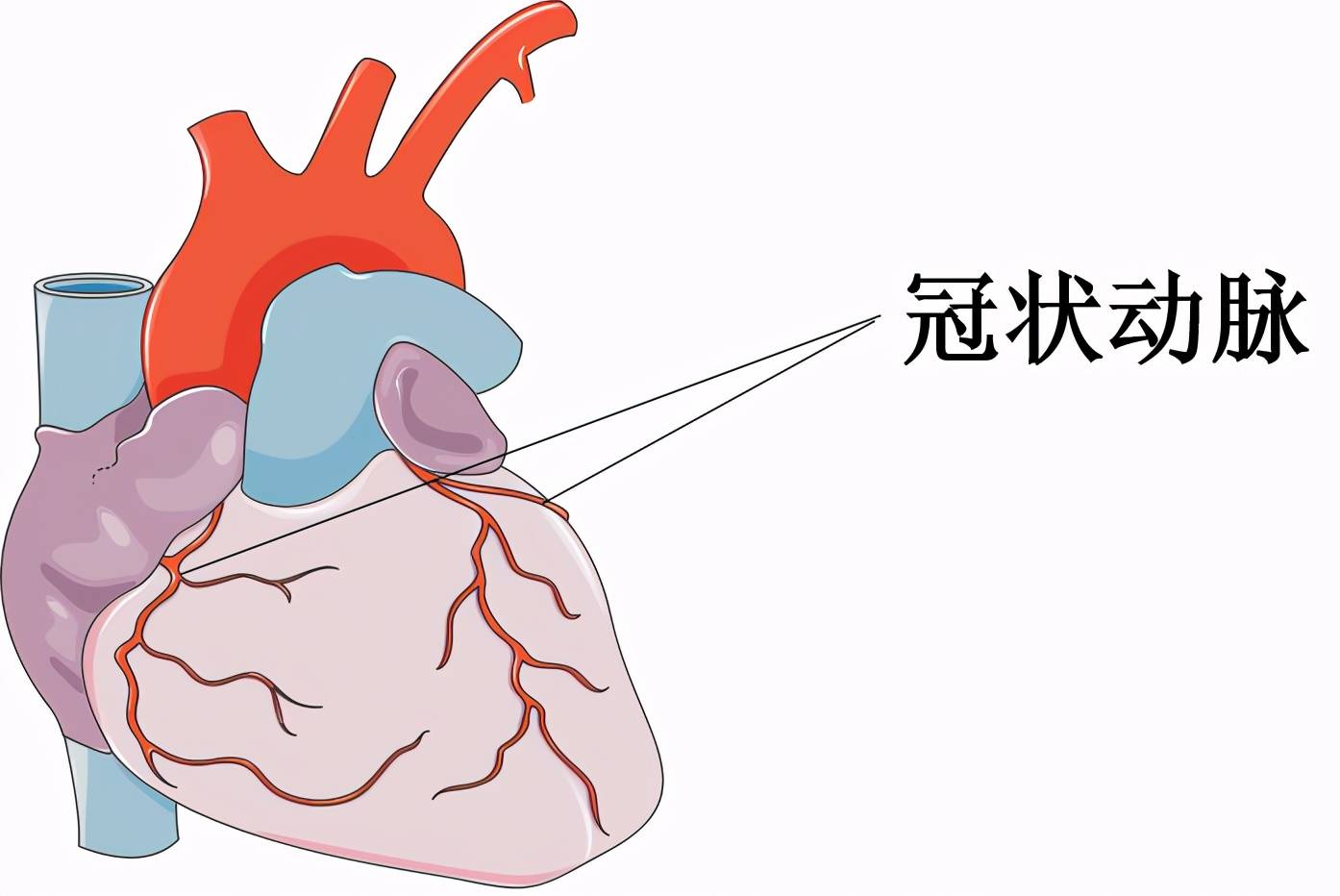 冠心病具体的表现症状有哪些?早发现早治疗哈尔滨那家医院看冠心病比较好