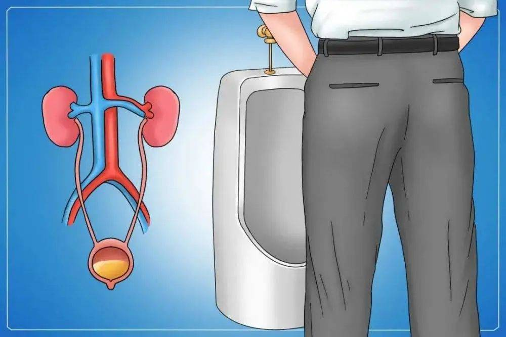 尿频尿急尿刺痛是什么原因造成的？哈尔滨看泌尿科比较好的医院