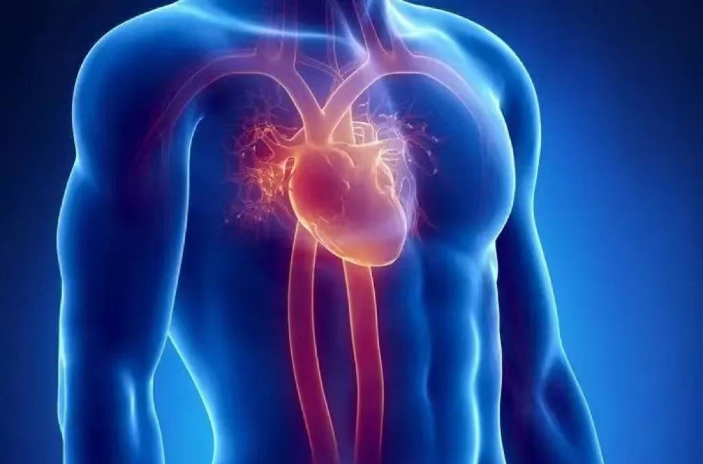 心血管狭窄、心衰、心律失常都有哪些表现？心血管狭窄、心衰、心律失常